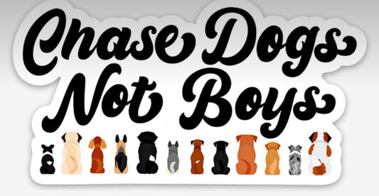 Chase Dogs Not Boys -Sticker