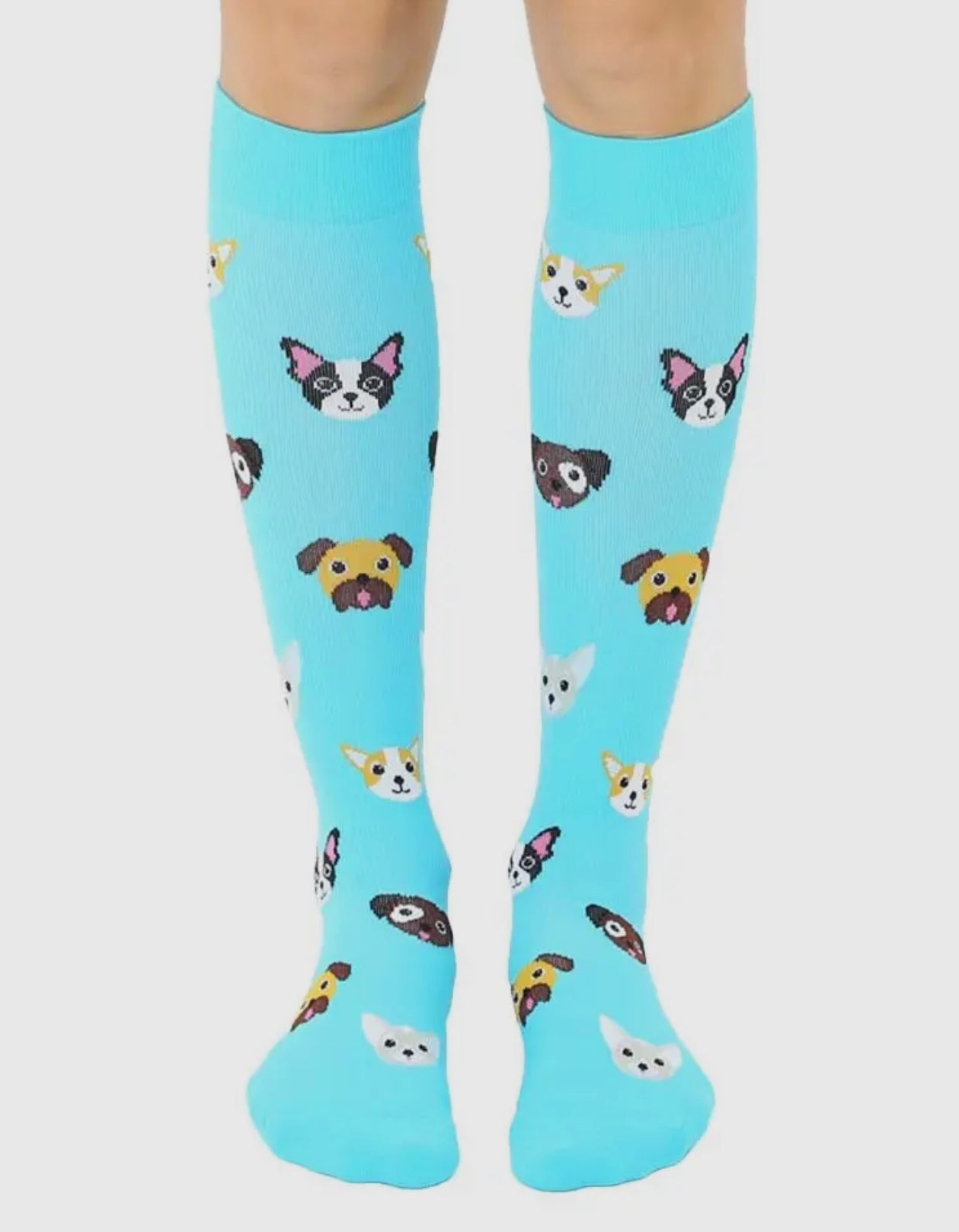 Dog Compression Socks